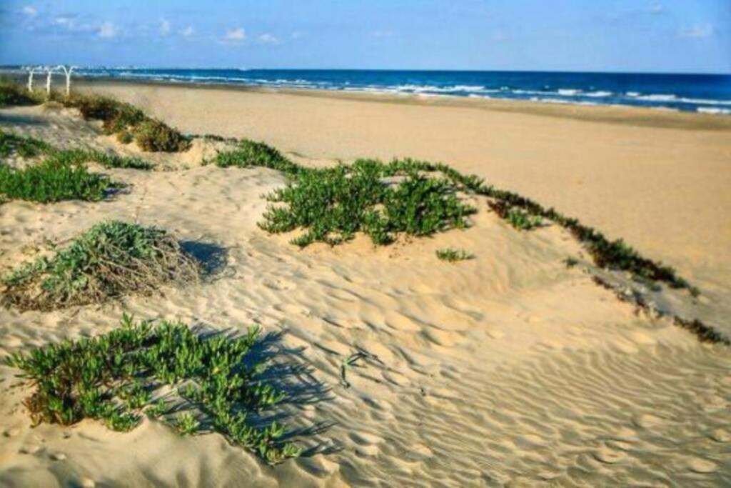 Apartamento Con Gran Piscina De Temporada A 200 Metros De La Playa Canet d'En Berenguer Εξωτερικό φωτογραφία